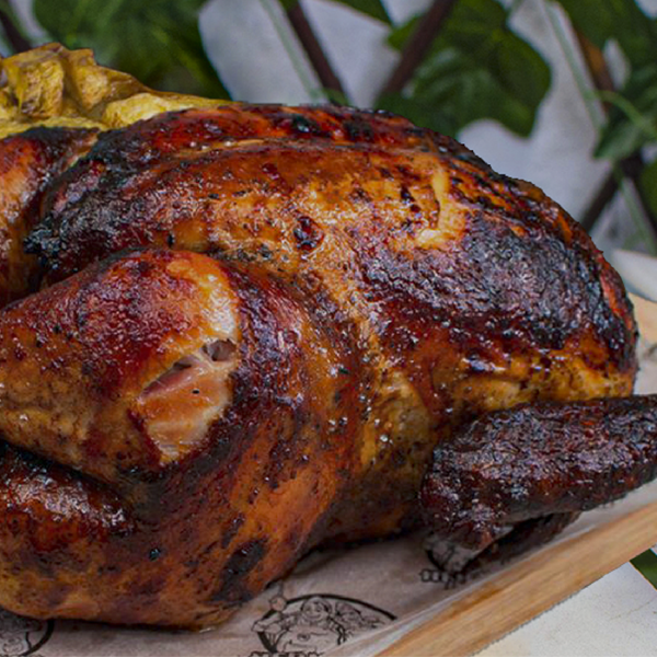 Pollo